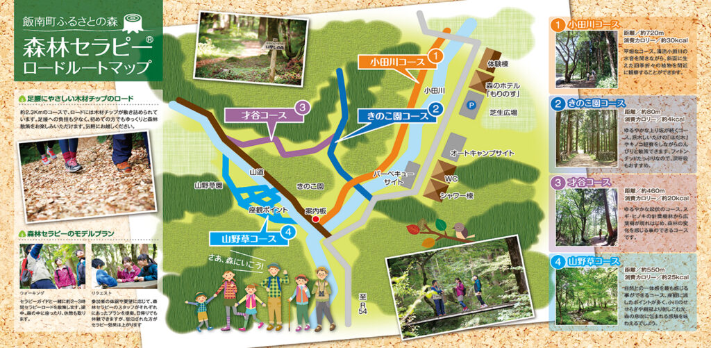 飯南町森林セラピー